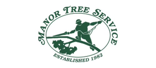 manor tree